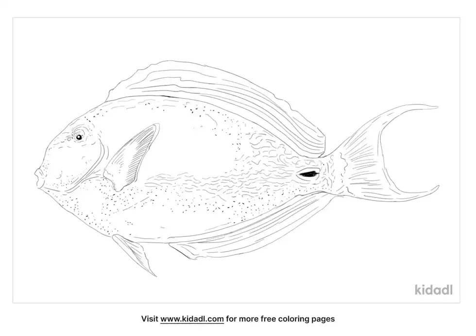 Yellowfin Surgeonfish Coloring Page