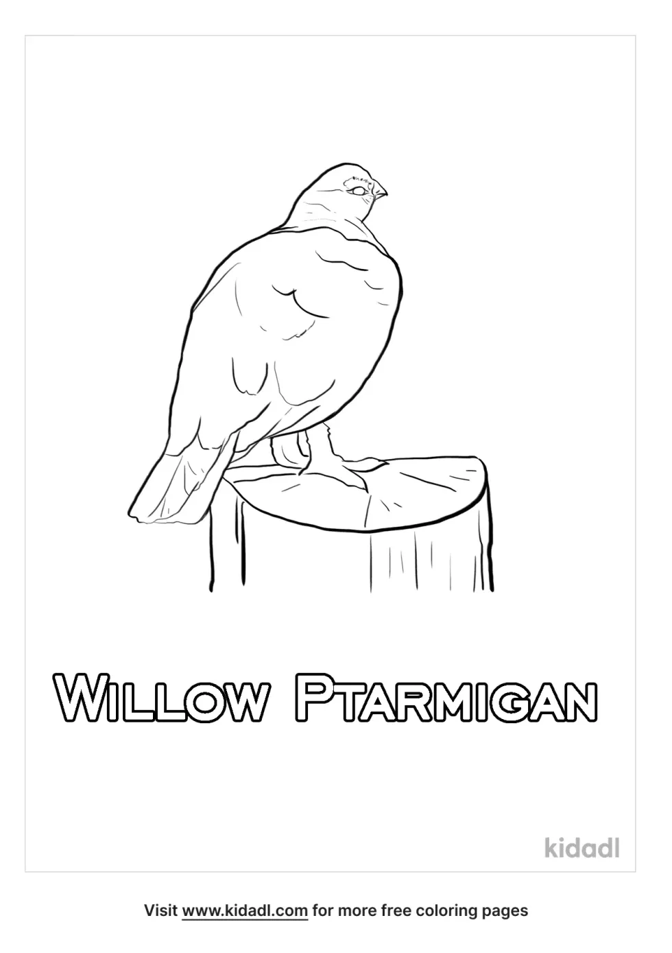 Willow Ptarmigan And Facts