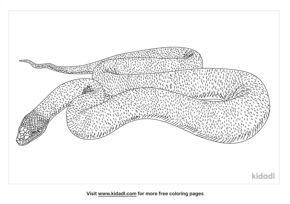 Titanoboa Coloring Page
