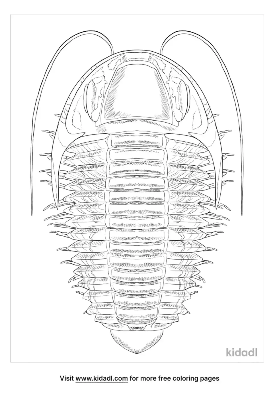 Trilobite Coloring Page