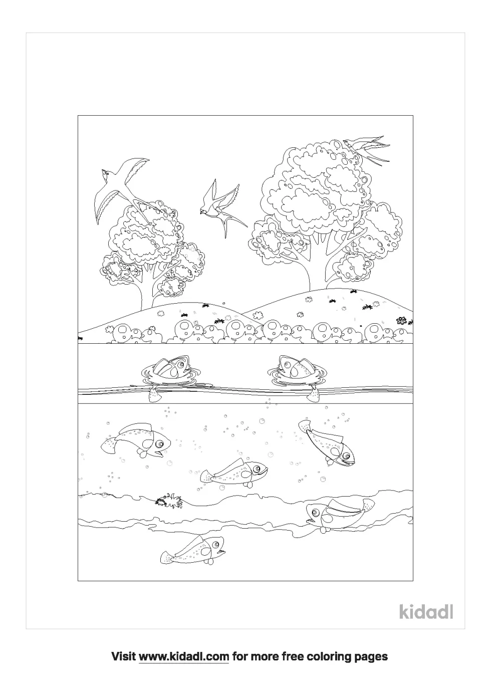 Fish And Bird Coloring Page