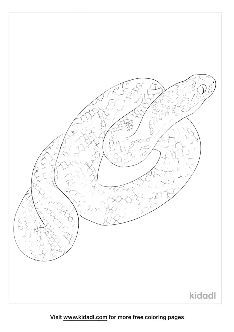 Saw-Scaled Viper Coloring Page