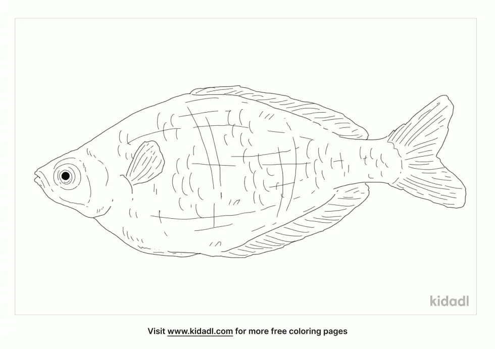 Neon Rainbowfish Coloring Page