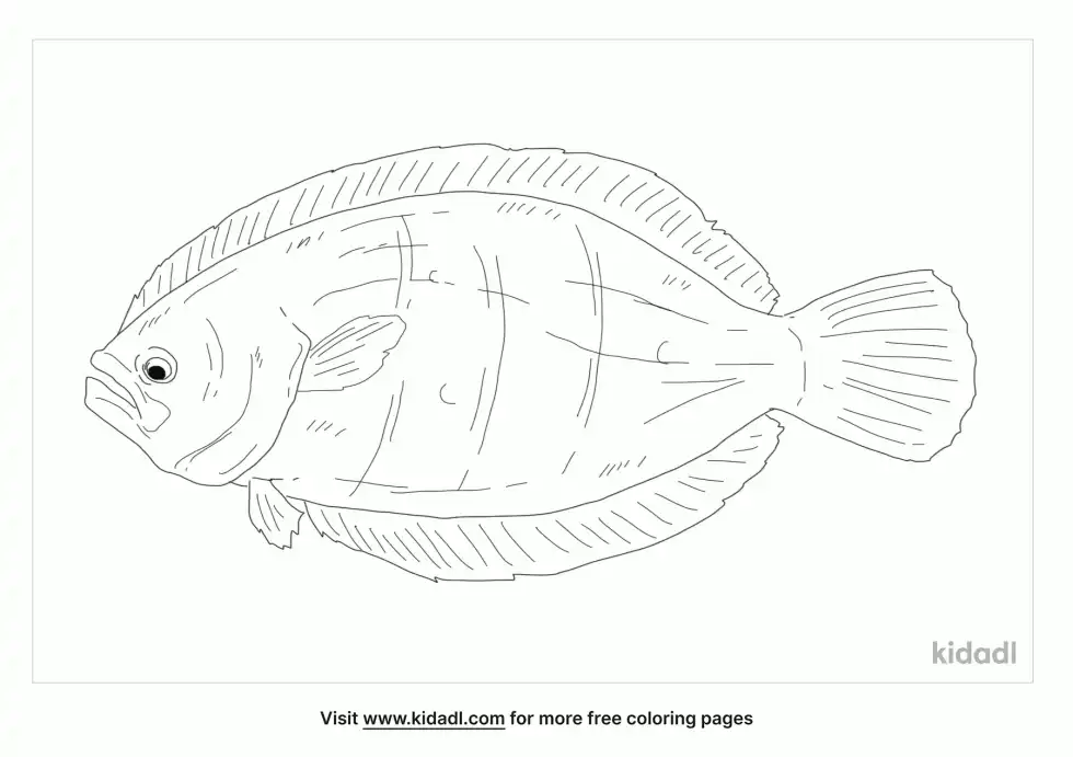 Gulf Flounder Coloring Page