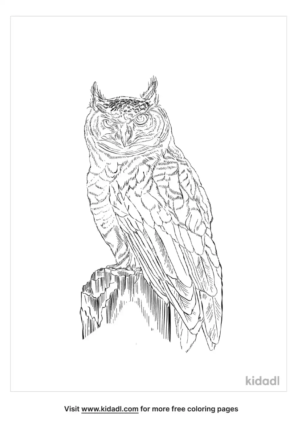 Strix Coloring Page