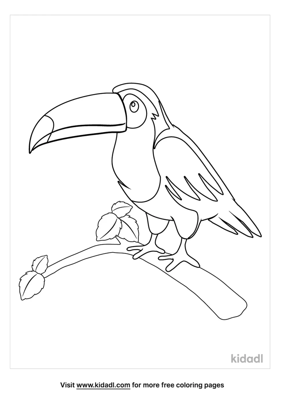 Toucan On A Branch