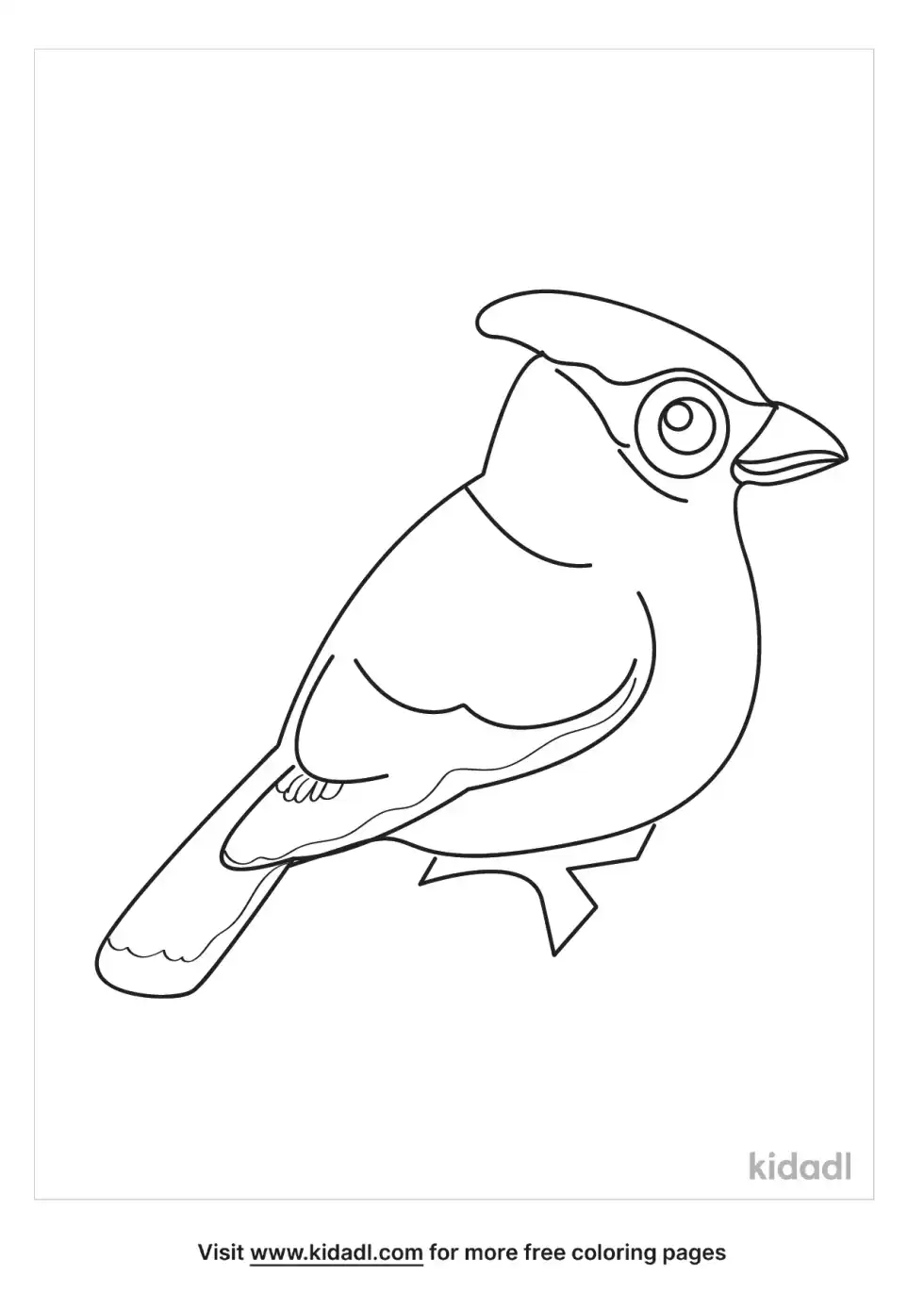 Cedar Waxwing Coloring Page