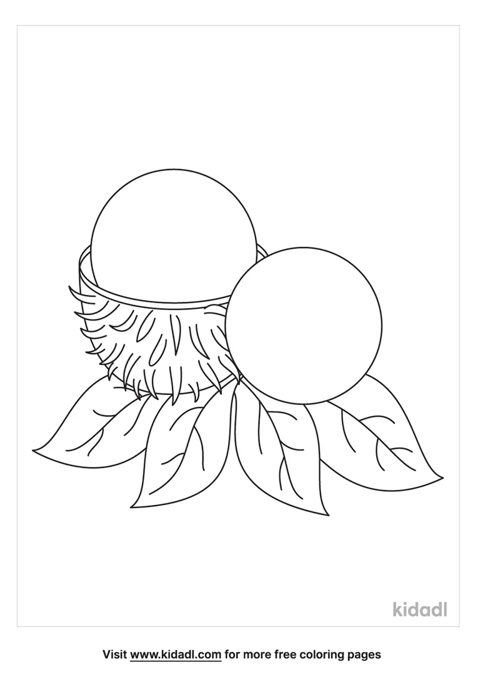 Rambutan Coloring Page