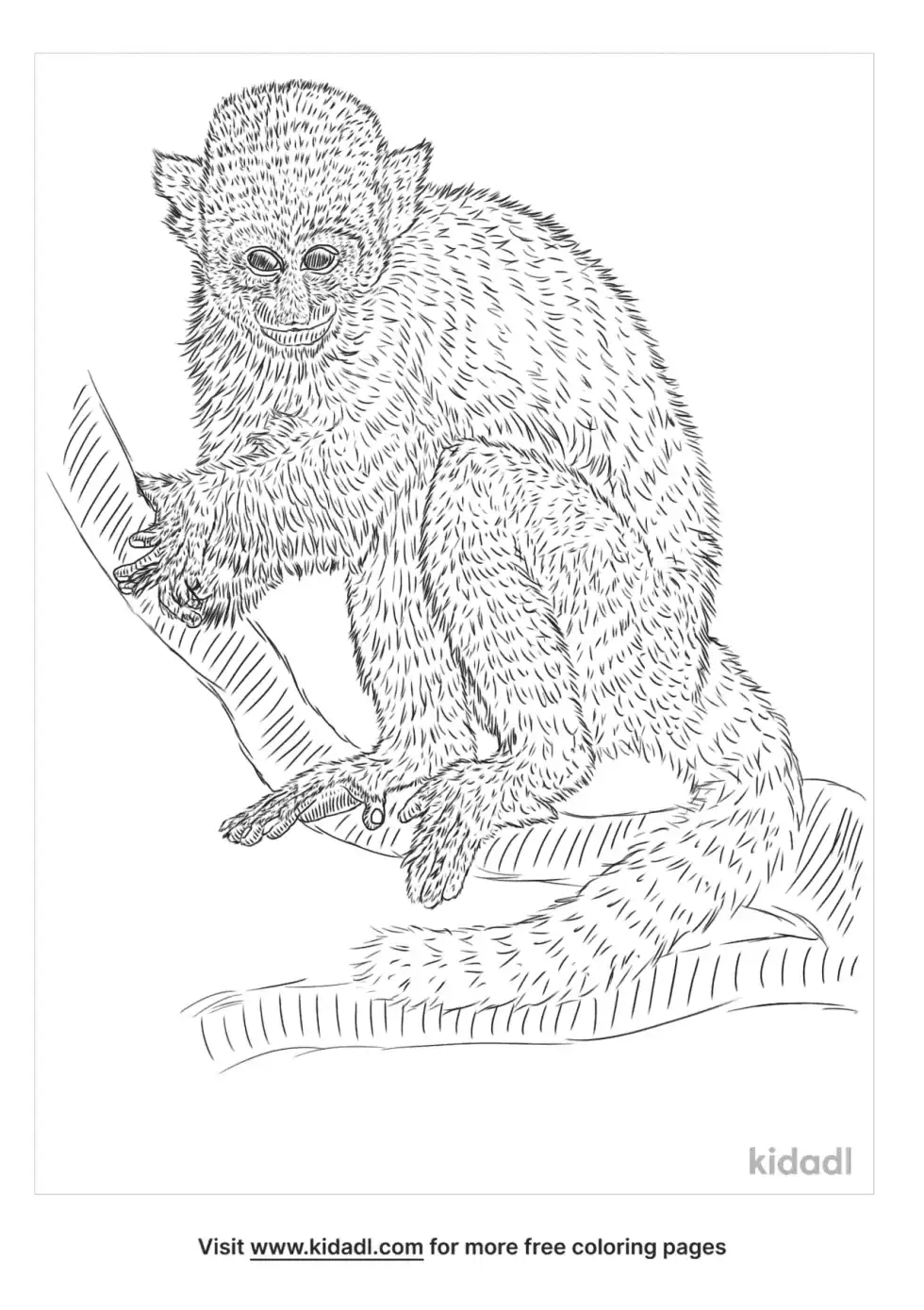 Bolivian Squirrel Monkey Coloring Page
