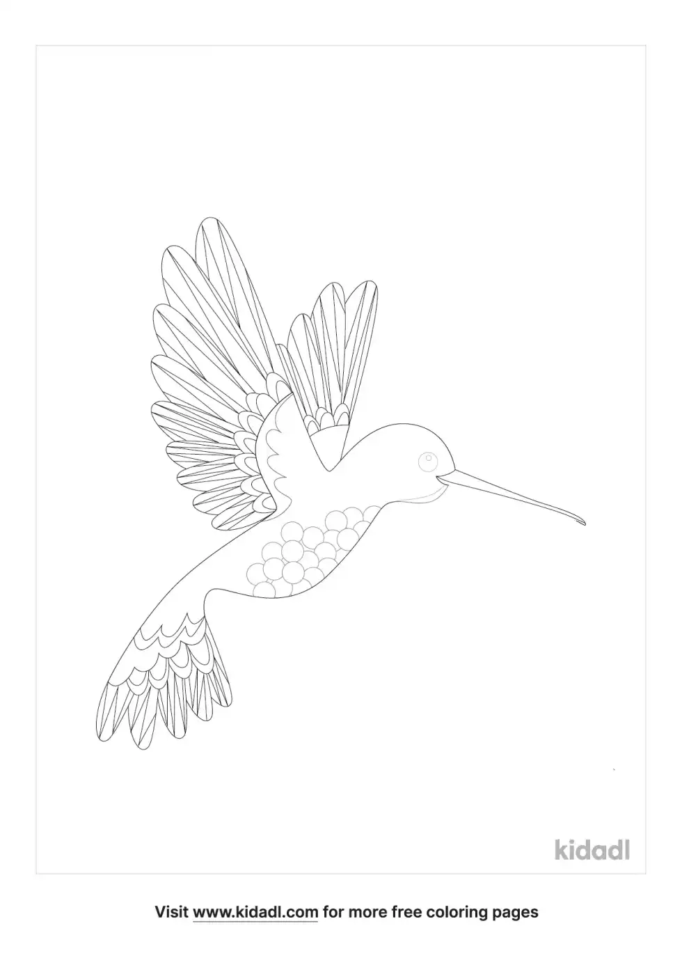 Detailed Hummingbird Coloring Page