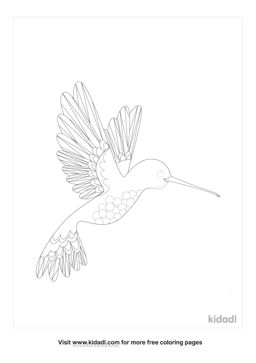 Detailed Hummingbird Coloring Page