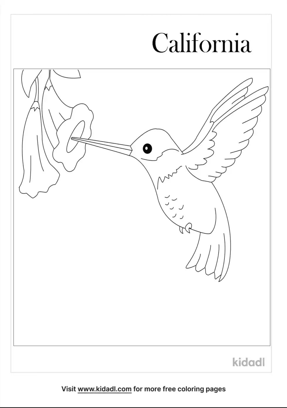 State Bird Coloring Page