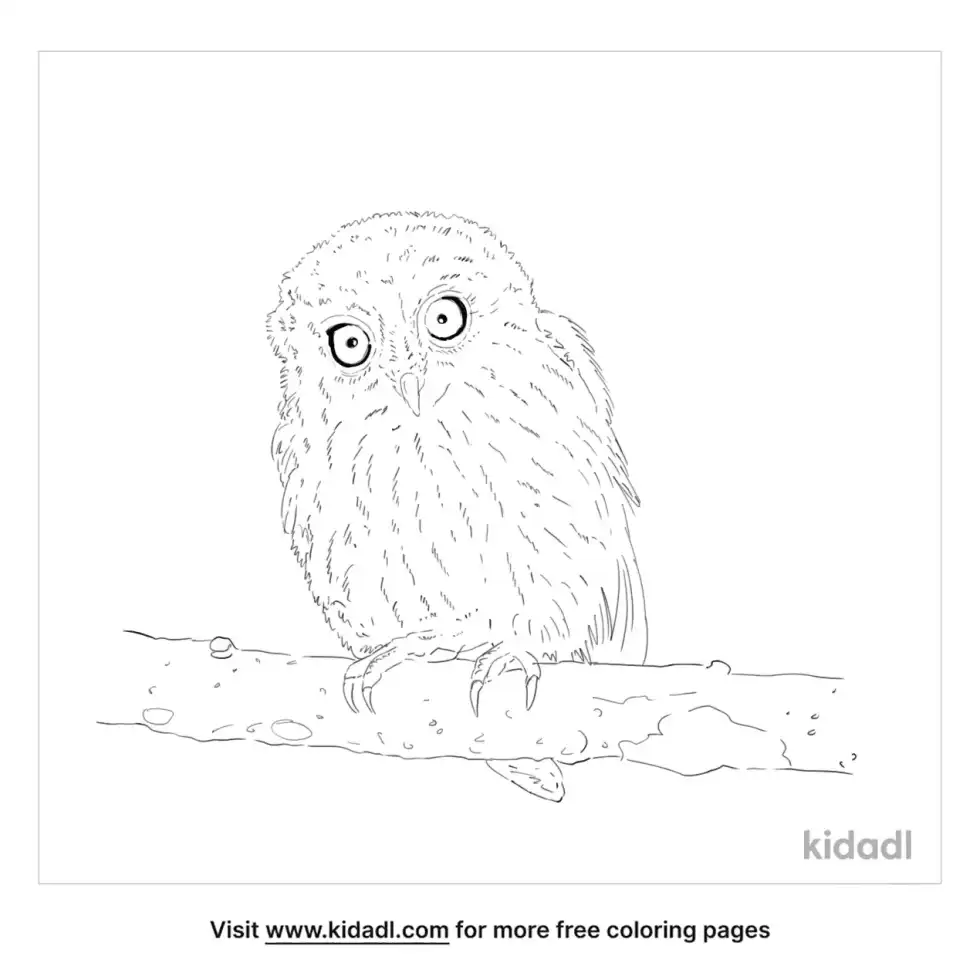 Simalur Coloring Page