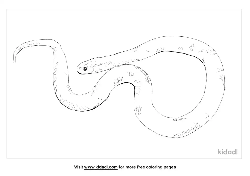 White Crowned Snake Coloring Page