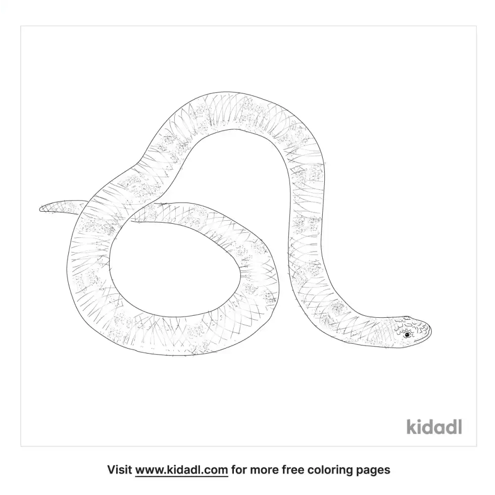 African Garter Snake Coloring Page