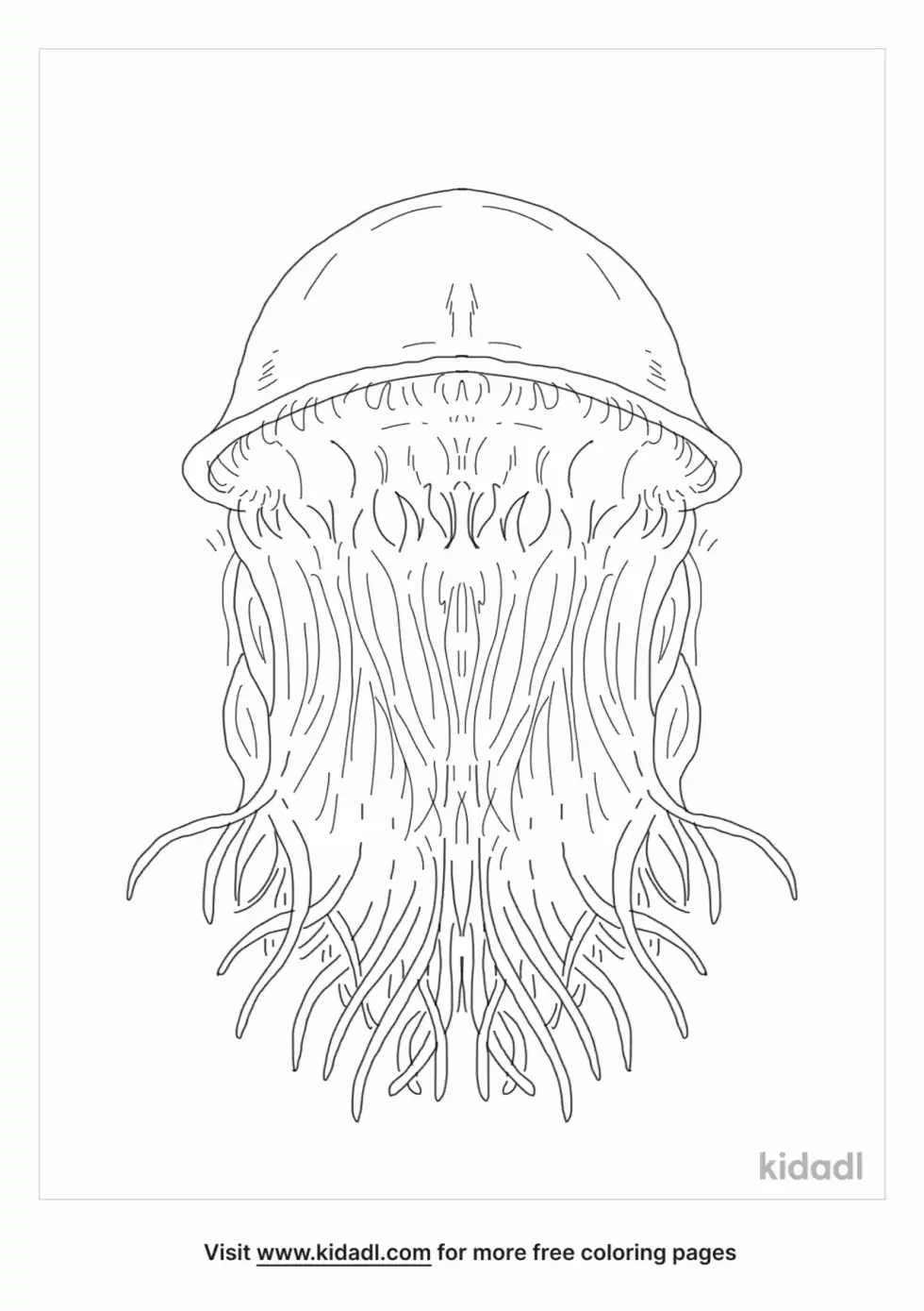 Nomura's Jellyfish Coloring Page