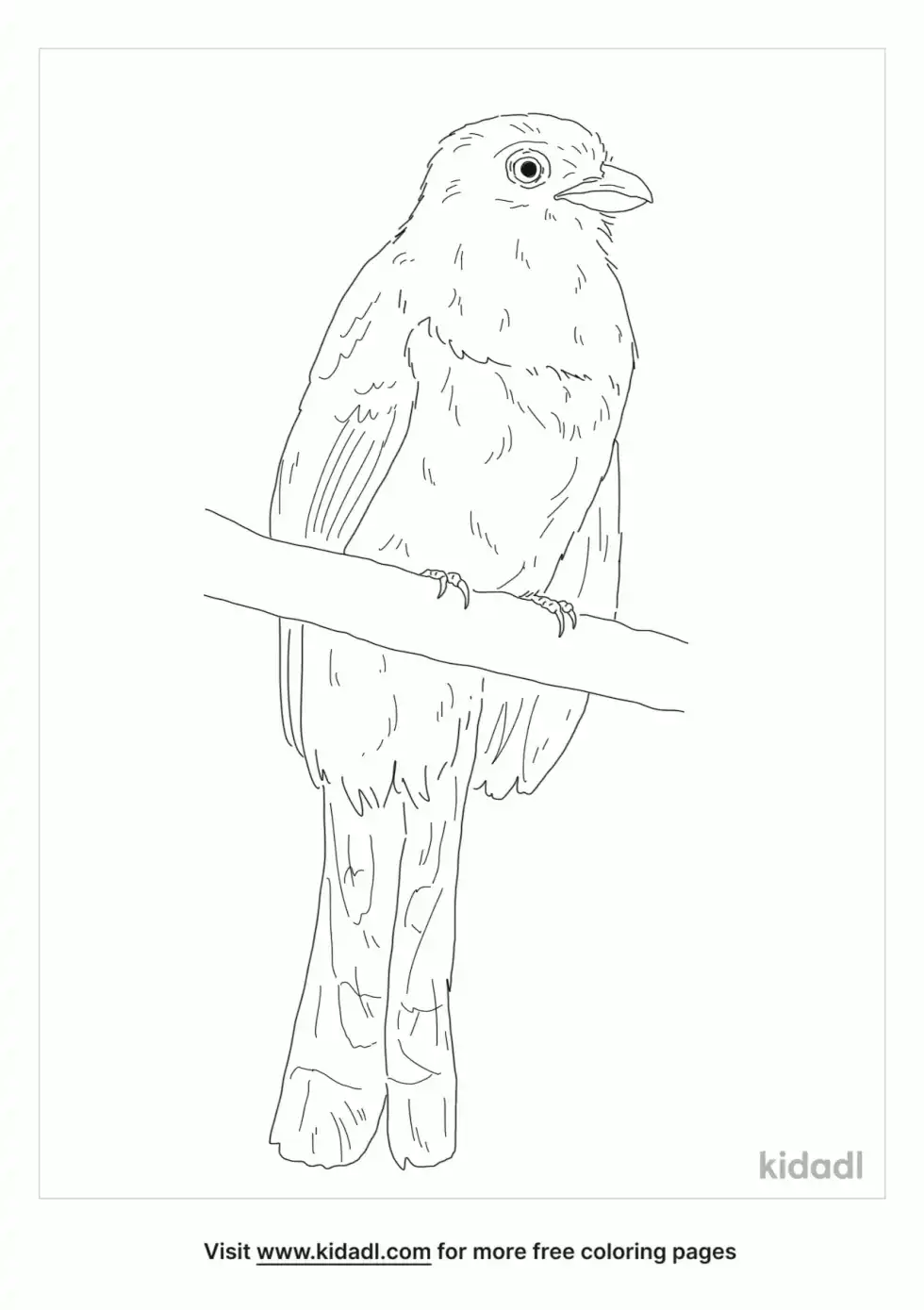 Masked Trogon Coloring Page