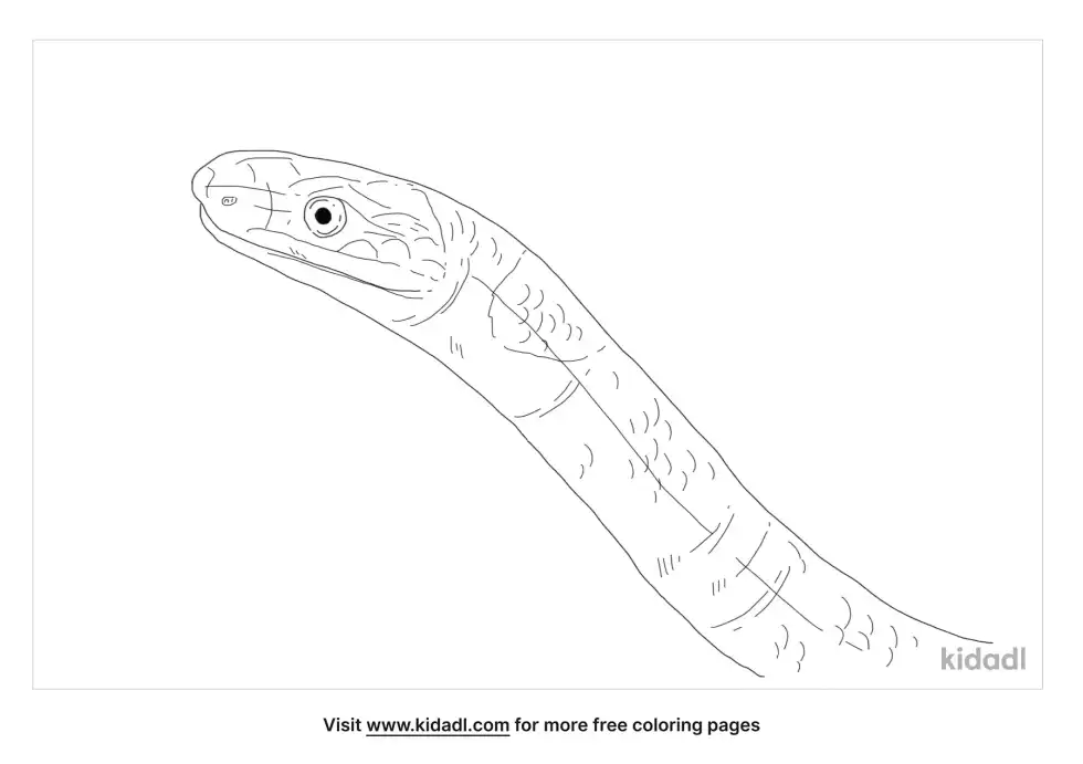 Red Naped Snake Coloring Page