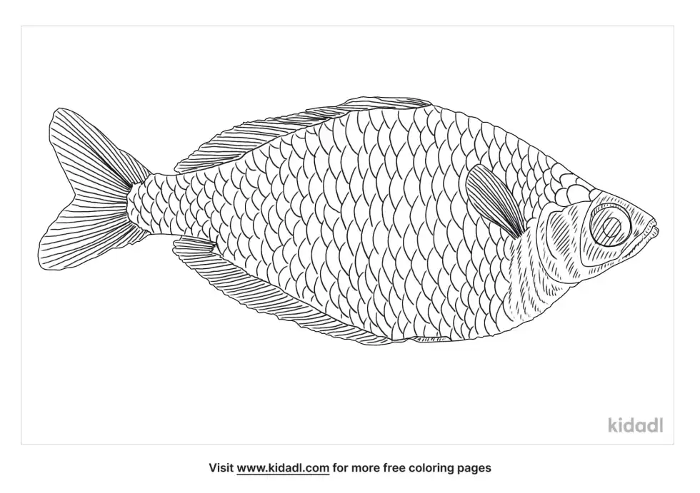 Blue Rainbowfish Coloring Page