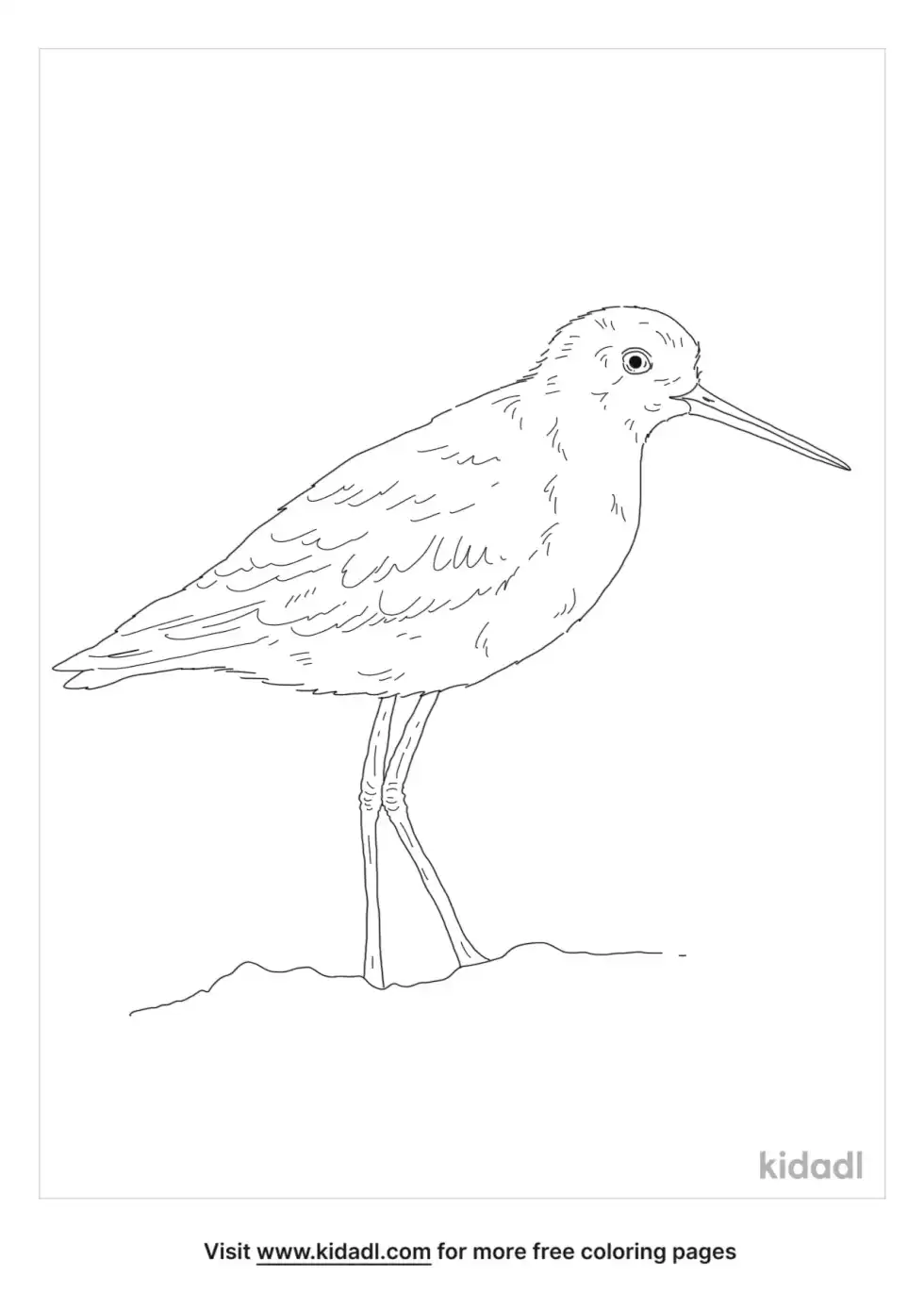 Marsh Sandpiper Coloring Page