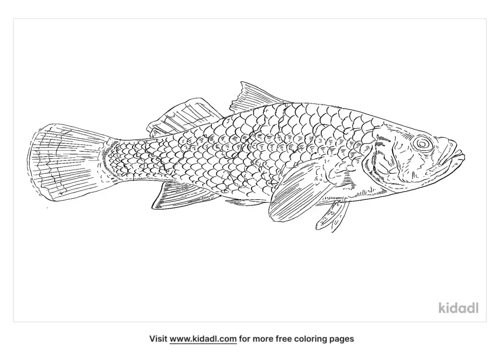 Marble Goby Coloring Page