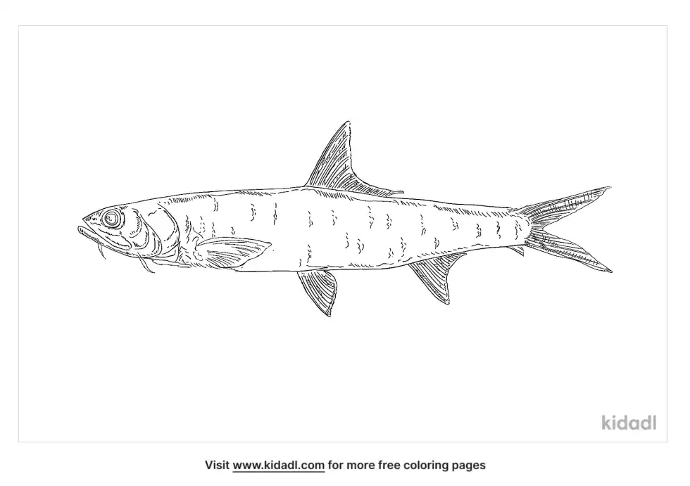 Snowtrout Coloring Page