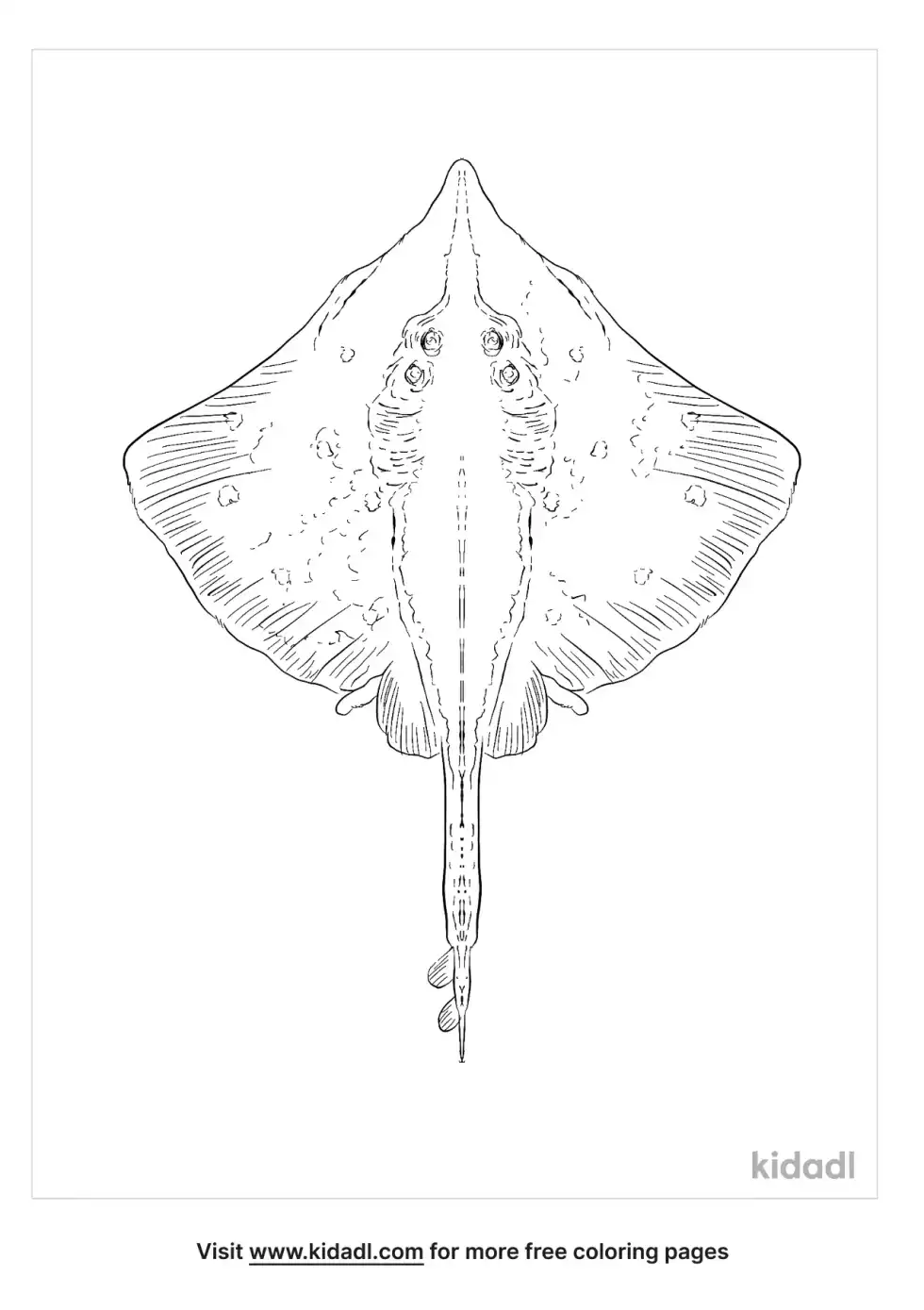 Smooth Skate Coloring Page