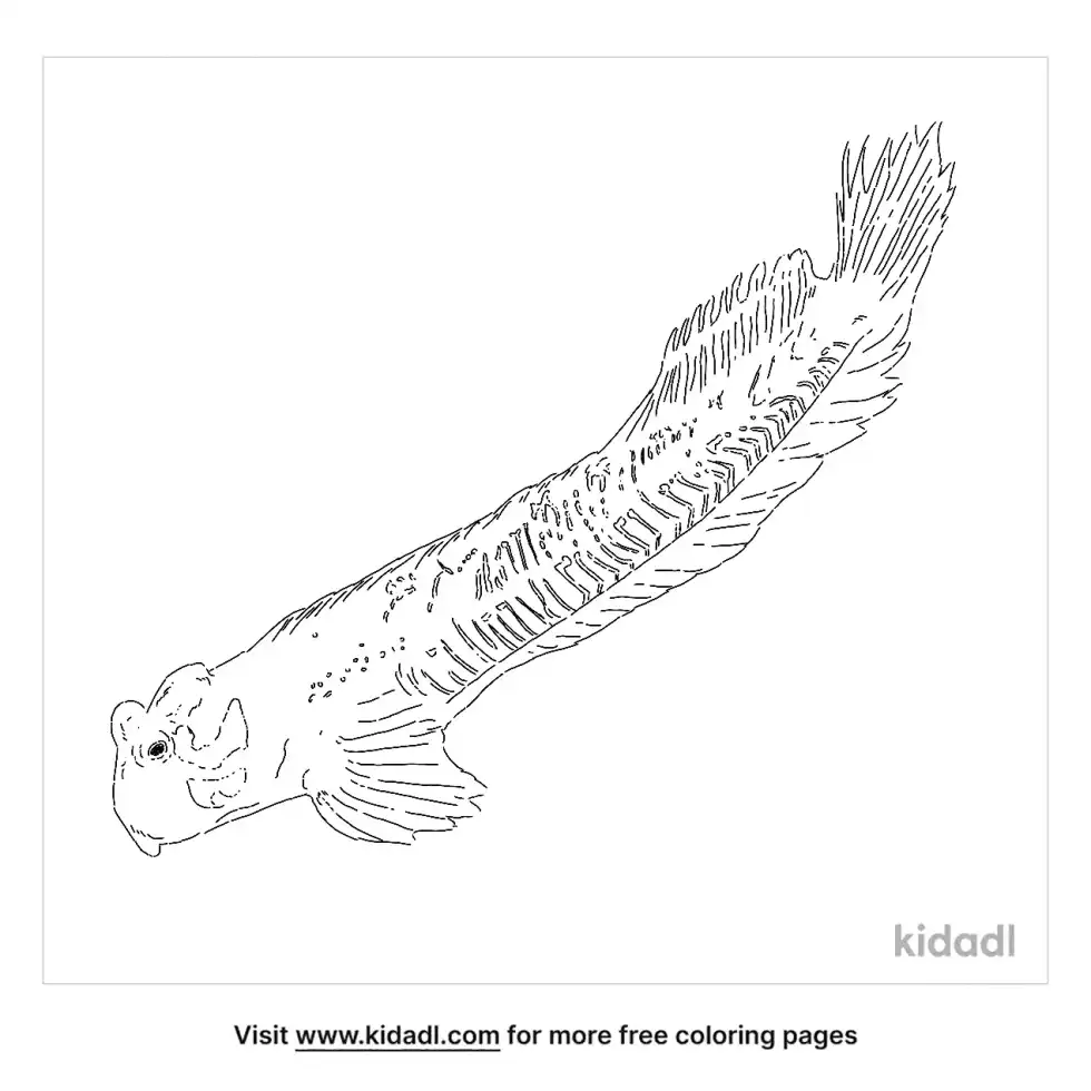 Leaping Blenny Coloring Page