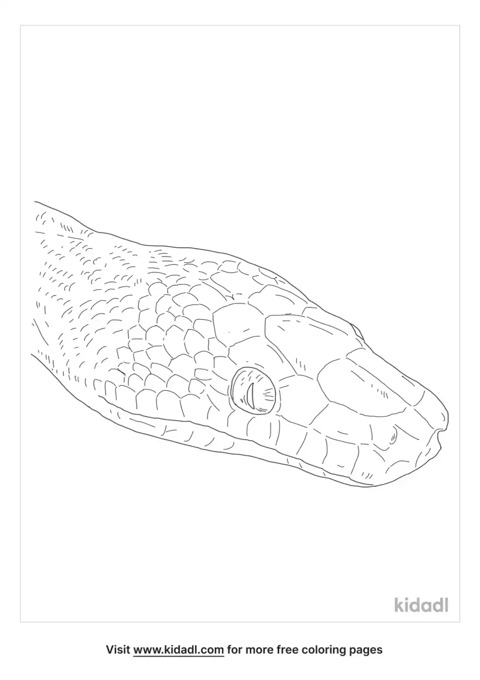 Sunbeam Snake Coloring Page