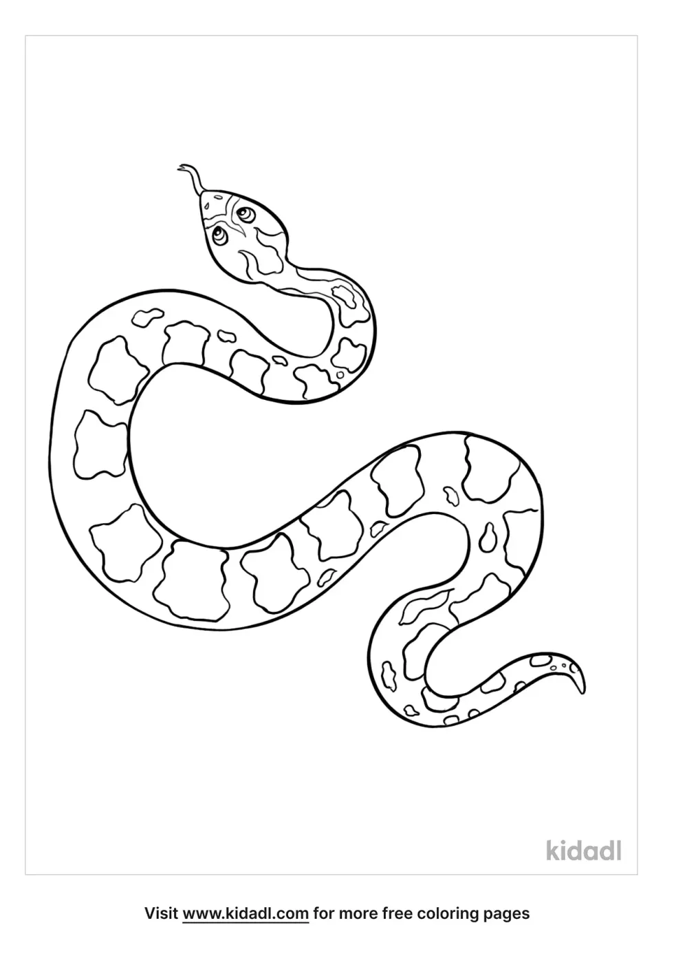 Albino Corn Snake Coloring Page