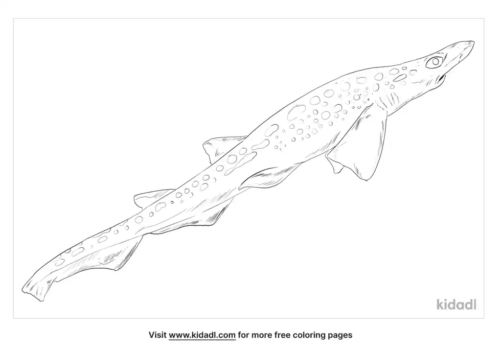 Blackmouth Catshark Coloring Page