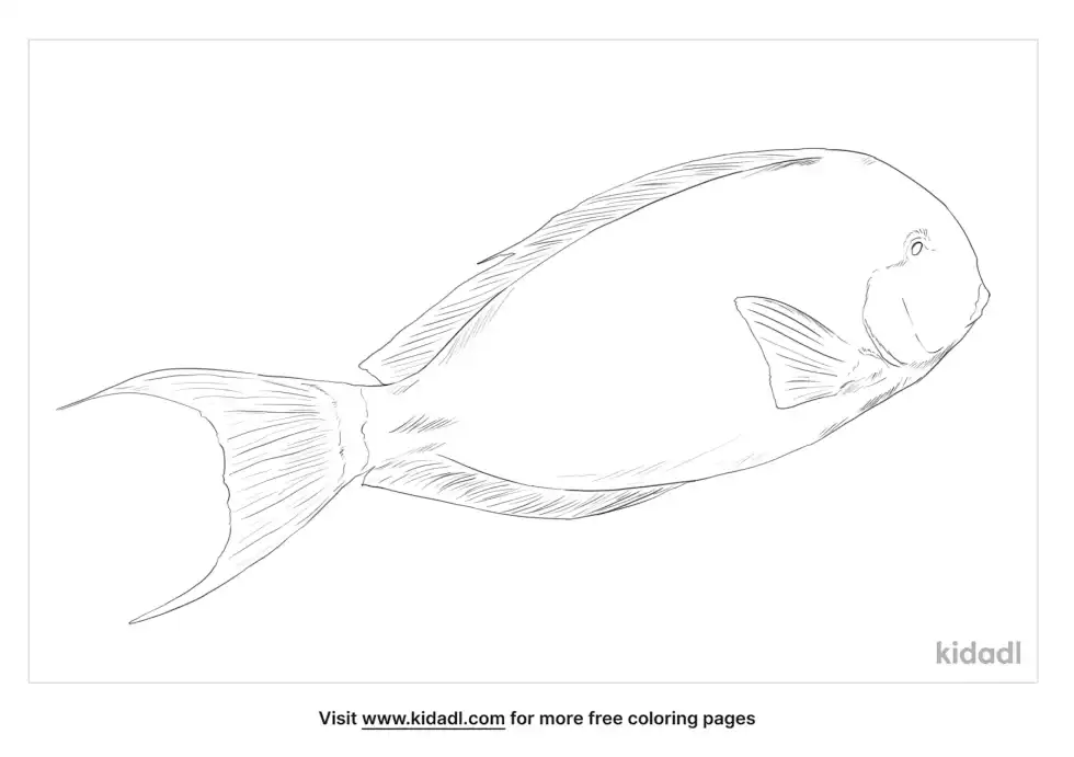 Black Surgeonfish Coloring Page