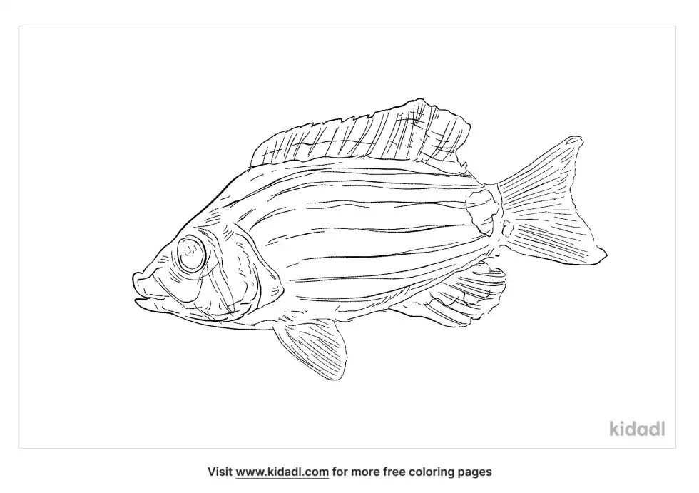 Butter Hamlet Coloring Page