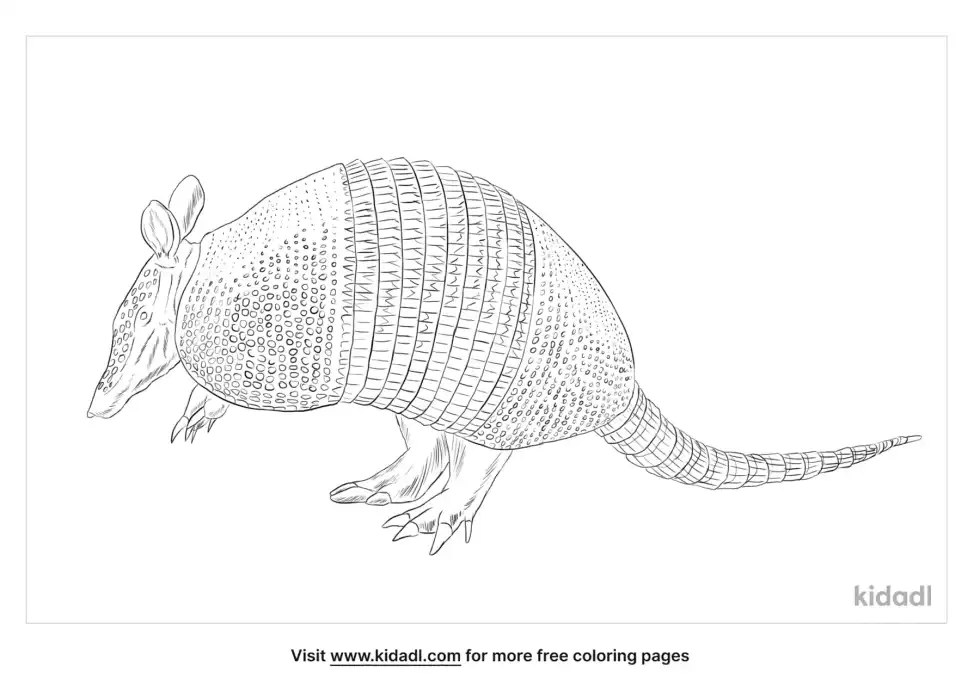 Northern Naked-Tailed Armadillo Coloring Page