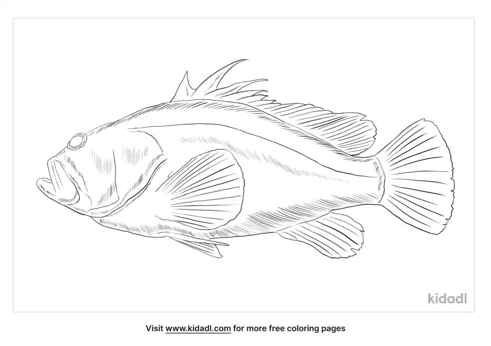 Baqueta Fish Coloring Page