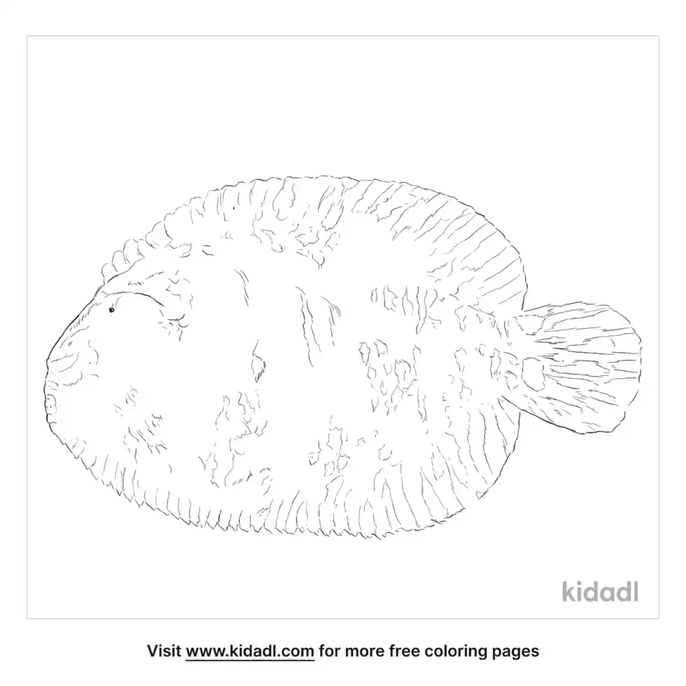 Hogchoker Coloring Page