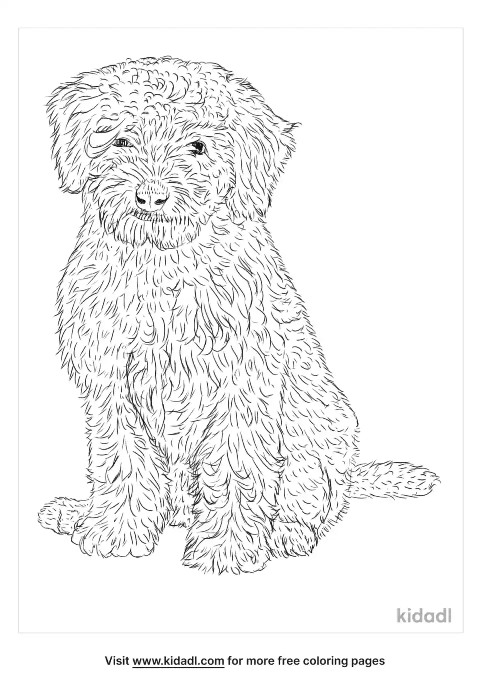 Mini Labradoodle Coloring Page