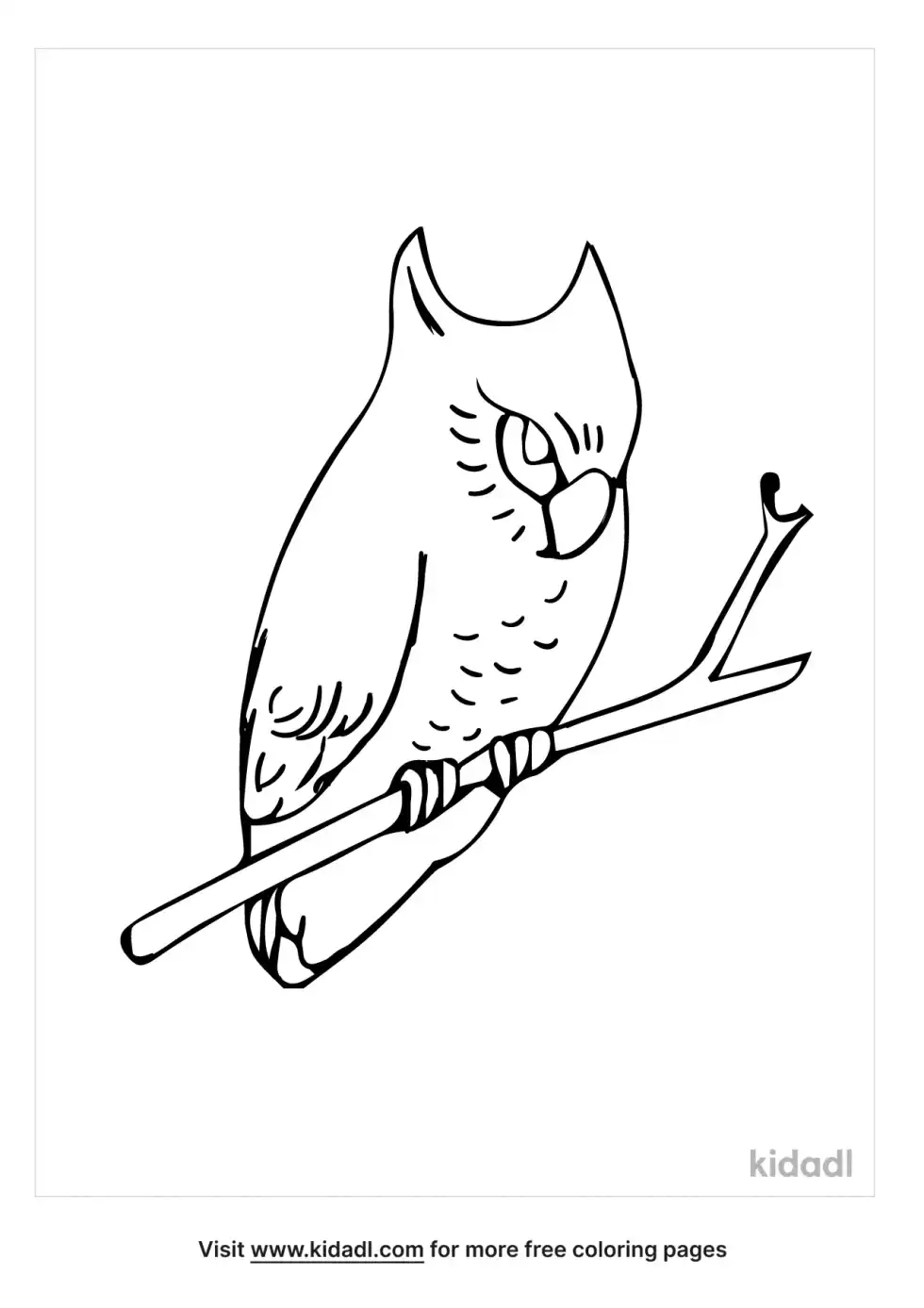 Black And White Owl Coloring Page