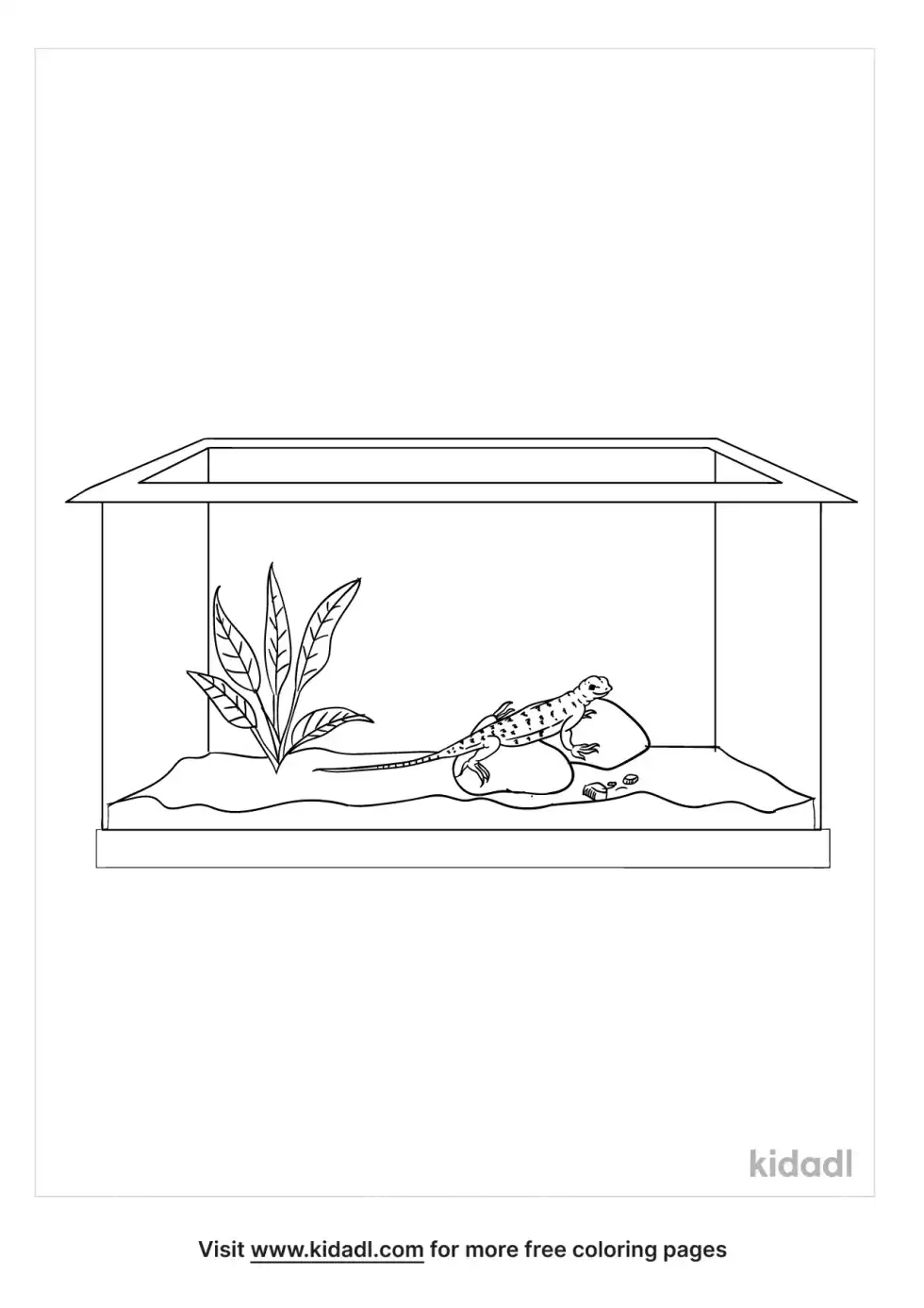 Lizard Terrarium Coloring Page