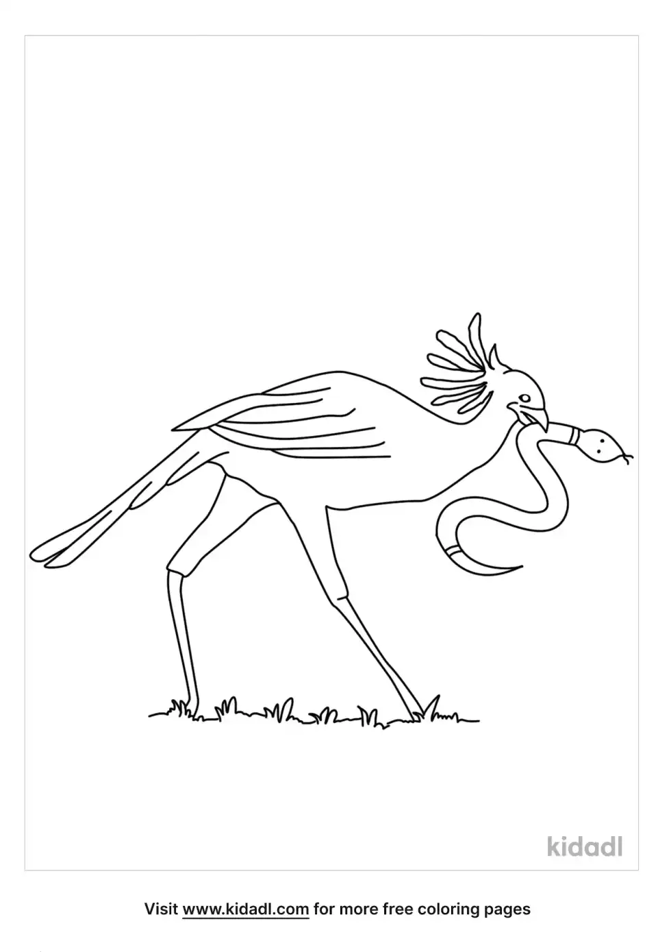 Snake And Secretary Bird Coloring Page
