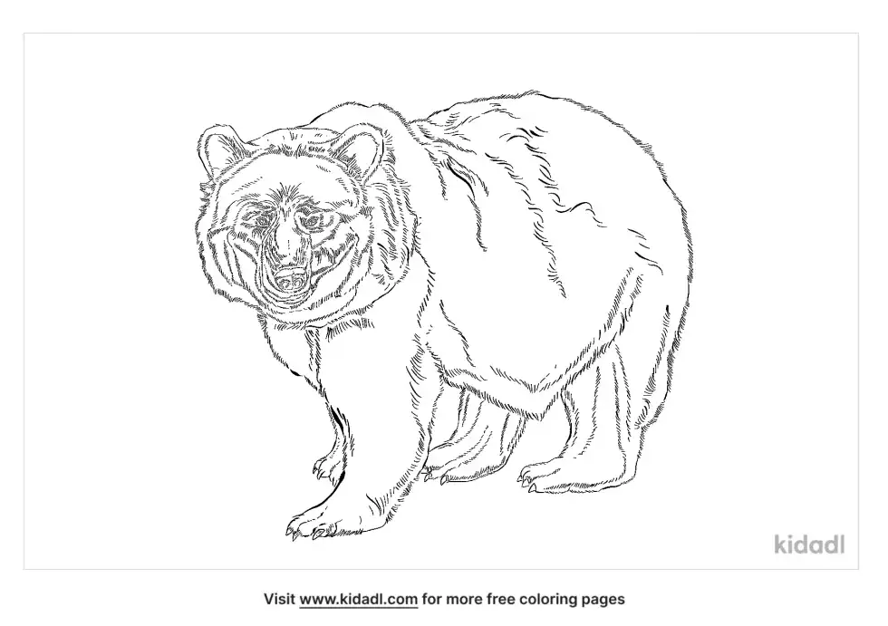 Mexican Grizzly Bear Coloring Page
