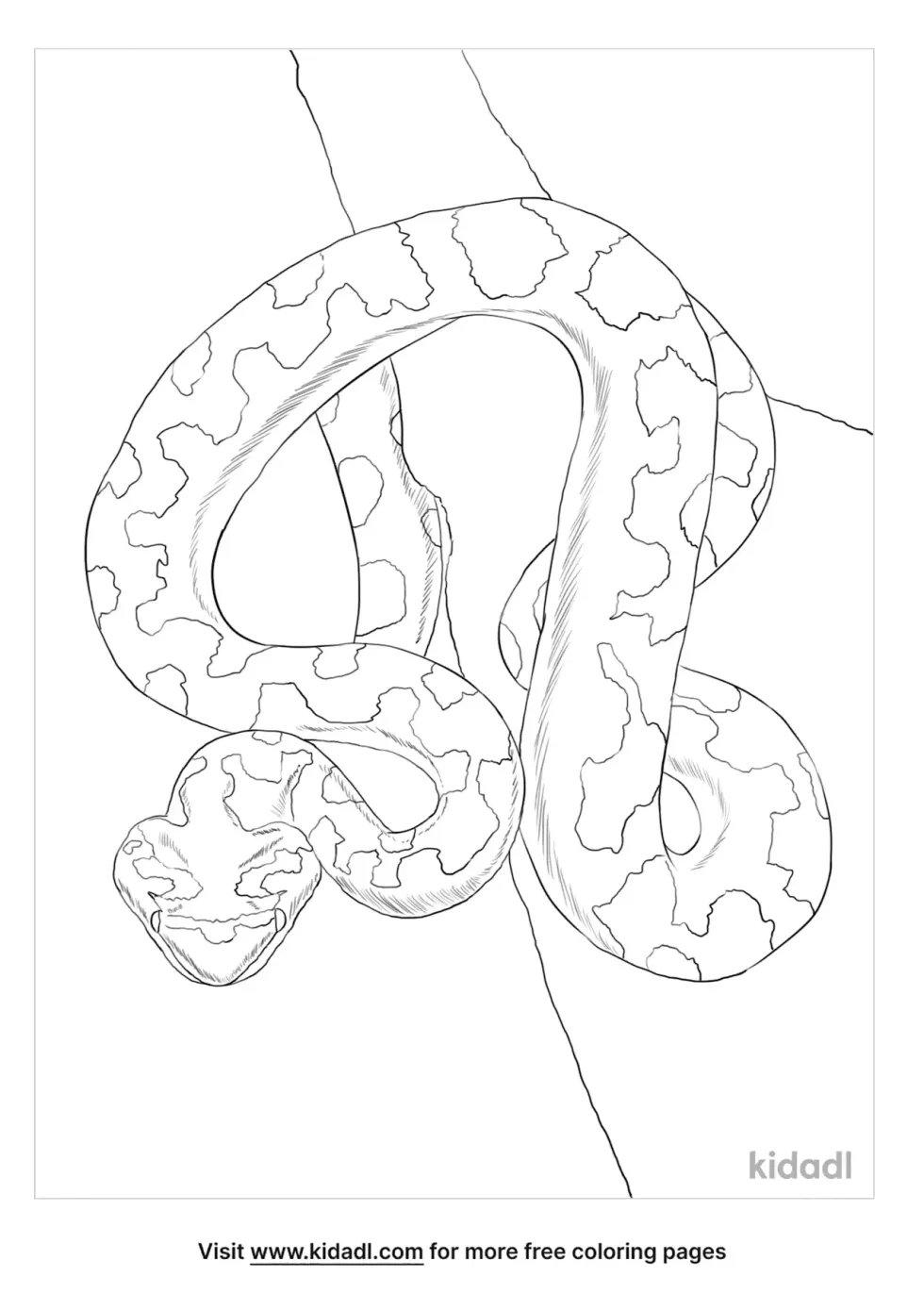 Horned Pit Viper Coloring Page