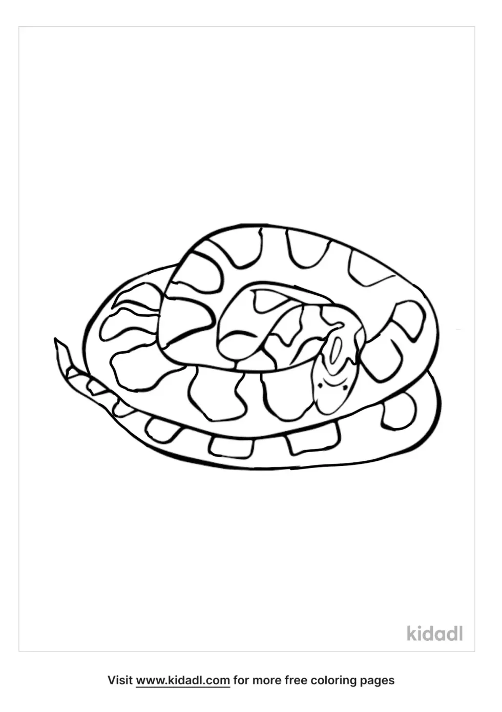 Buttermilk Racer Snake Coloring Page