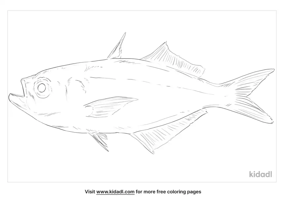 False Trevally Coloring Page