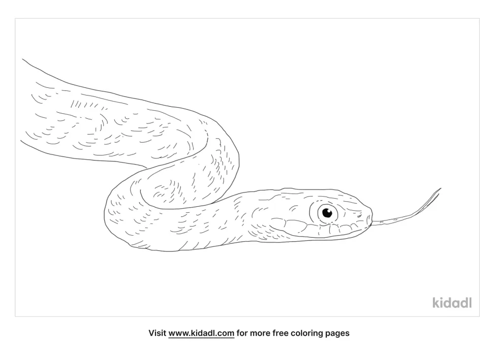 Banded Water Snake Coloring Page