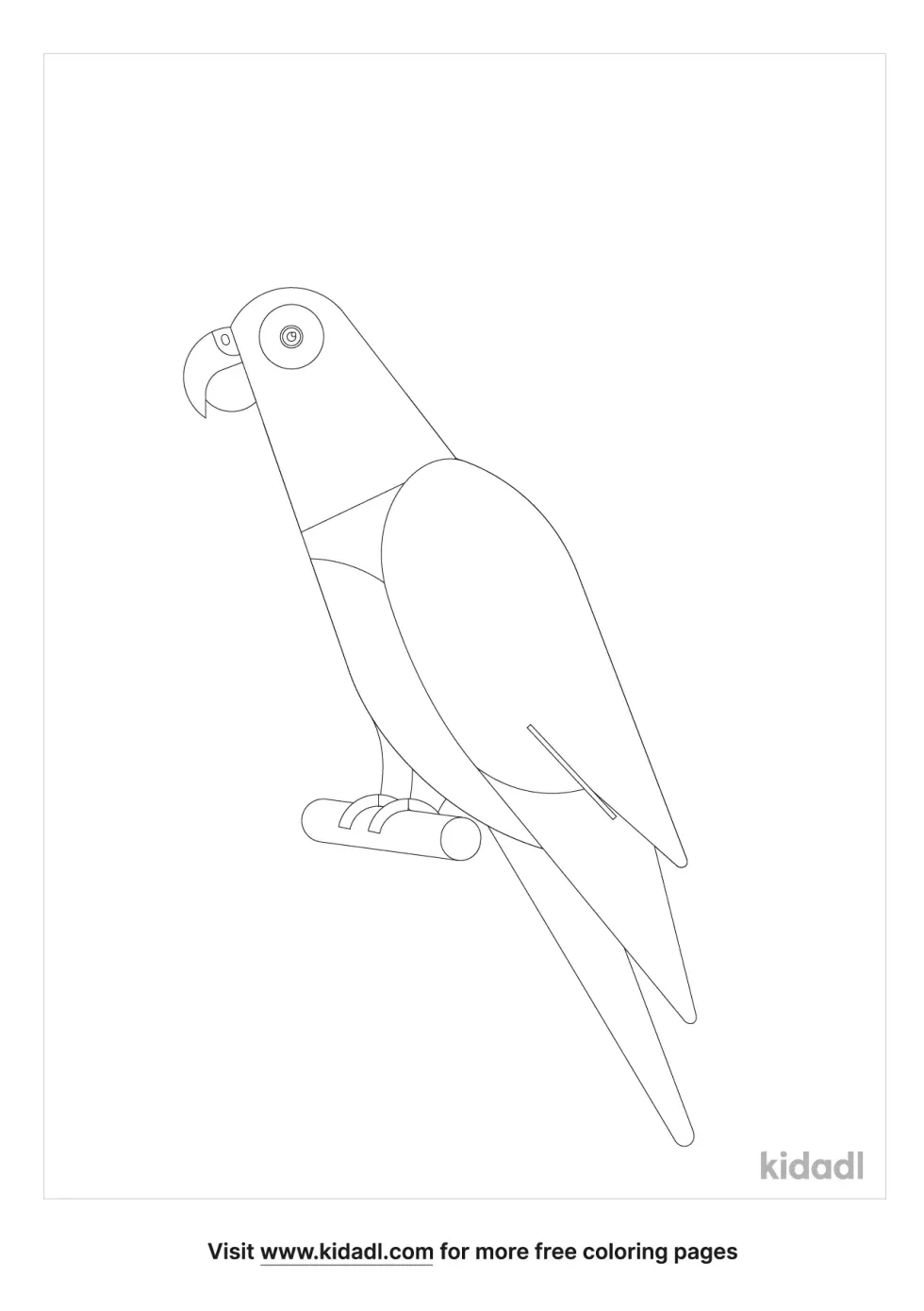 African Grey Parrot Coloring Page