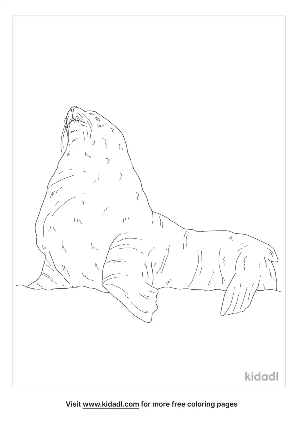 Stellar Sea Lion Coloring Page