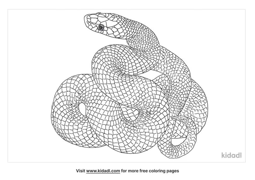 Cape Wolf Snake Coloring Page