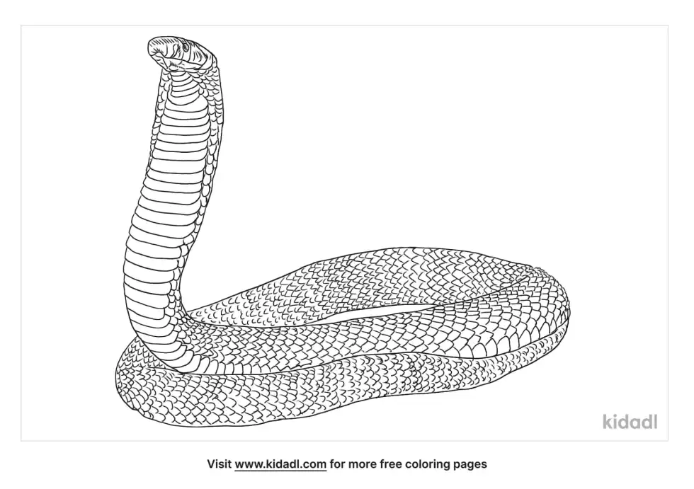 Cape Coral Snake Coloring Page