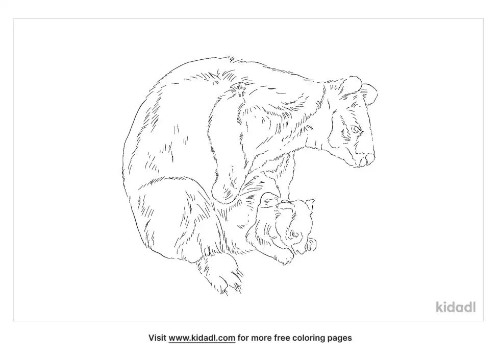 Golden-Mantled Tree-Kangaroo Coloring Page